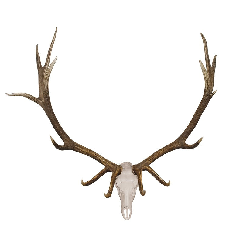 4 Ways to Make an Elk Skull Mount