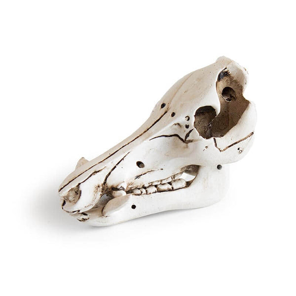 Boaris, Mini Replica Boar Skull Ornament