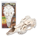 Skull Master European-Style Mounting Kit - Natural Causes